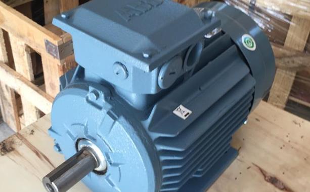 摇头同步电机电鱼，电鱼器的原理和使用方法